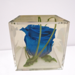 rosa preservada azul